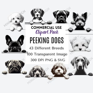 100 gluurhonden SVG, gluurhonden Clipart, transparante PNG SVG, gluurhond silhouet Svg, Instant Download, commercieel gebruik, 300 dpi-bestand