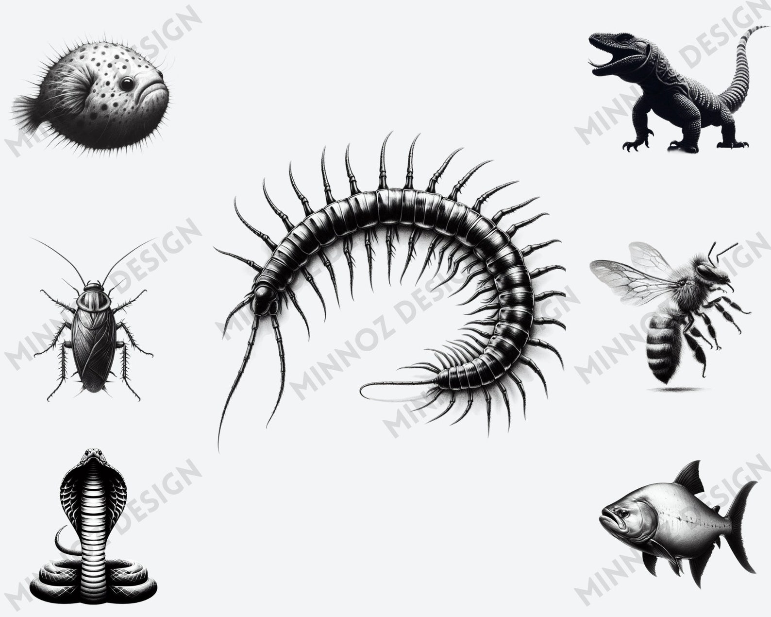 Scary Creatures SVG PNG Bundle, Scary Animals SVG, Tarantula, Bat ...