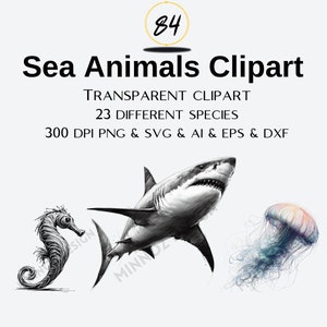 May include: A set of 23 black and white illustrations of sea animals, including a shark, a jellyfish, and a seahorse. The illustrations are in a realistic style and are perfect for use in digital or printed projects.