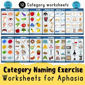 Aphasie Printable, Post- Schlaganfall-Rehabilitation, Kategorisierungs-Arbeitsblätter, Kopfverletzung, Logopädie-Tool, SLP, Demenz, Pflegekraft