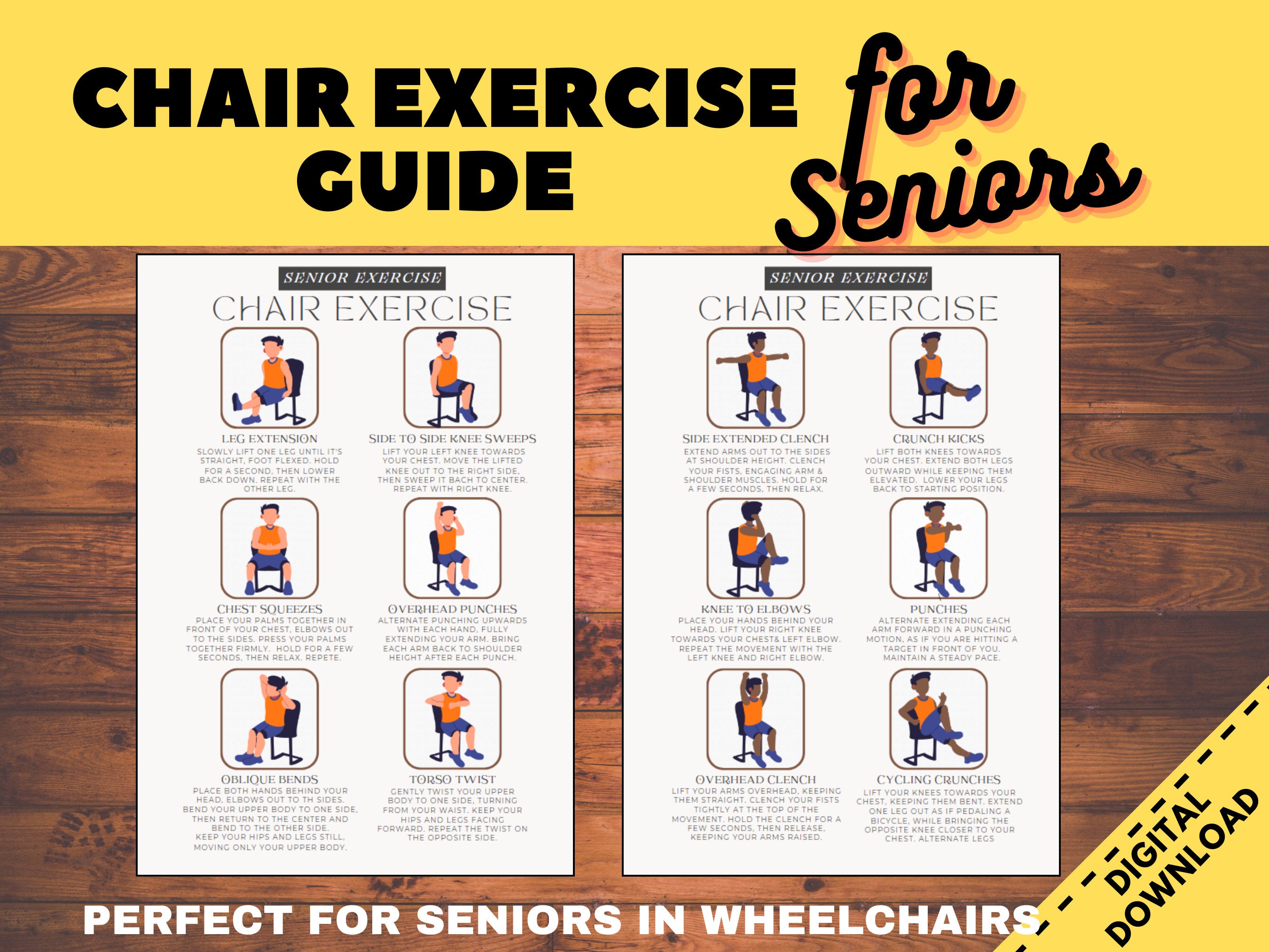 Chair Exercise Guide for Seniors, Workout for Elderly, Physical