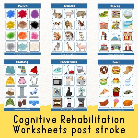Aphasia printable, post- stroke rehabilitation, categorizing worksheets,  head injury, speech therapy tool, slp, dementia, caregiver recourse - etsy