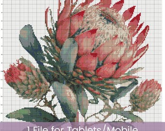 Protea Flower Cross Stitch Pattern Handmade Elegant