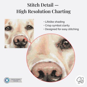 Golden Labrador Cross Stitch Pattern, Dog Lover’s Embroidery Pet Design, Instant Download, Floss Conversions