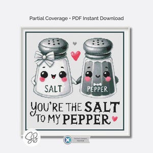 Salt & Pepper Cross Stitch Pattern, Valentine’s PDF Embroidery, Kitchen Valentine Gift, Floss Conversions