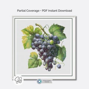 Padrão de Ponto Cruz de Uvas, Bordado Rústico de Frutas para Cozinha, Decoração com Tema de Vinho, Padrão para Iniciantes, Conversão de Linhas