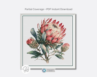 Schema punto croce con fiore di protea, ricamo botanico floreale con protea, download immediato, conversione del filo interdentale