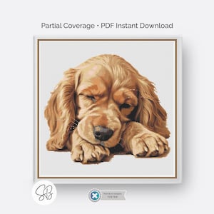 Patrón de punto de cruz para Cocker Spaniel Americano, bordado de perro, descarga digital en PDF, conversión de hilo