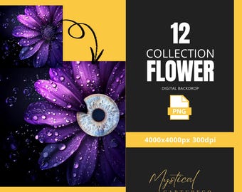 Iris Photography Digital Wallpapers (12-Pack) – Instant Photo Enhancements & Creative Inspiration