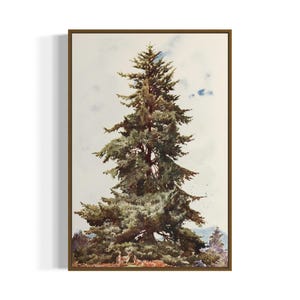 May include: A watercolor painting of a tall, green evergreen tree against a light blue sky. The tree is in the center of the image and is surrounded by a light blue sky with white clouds. The tree is painted in a realistic style and has a lot of detail.