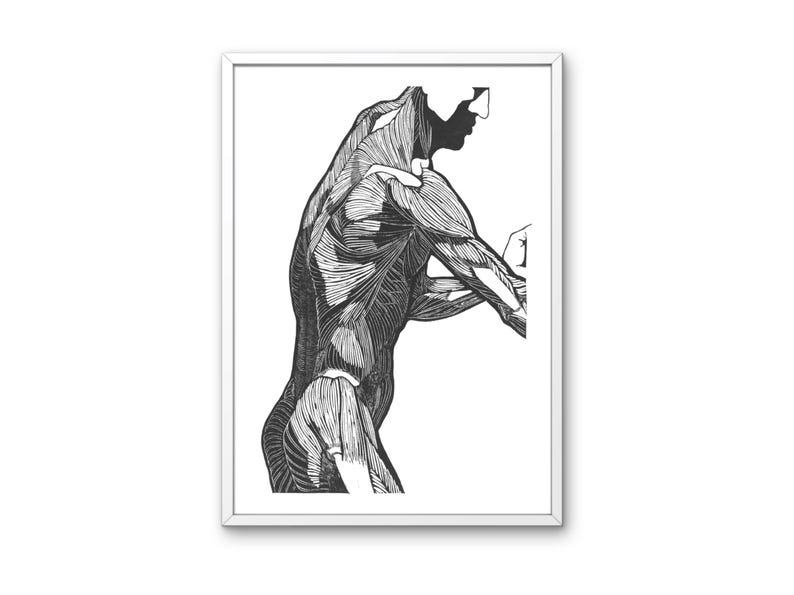 Vintage Muscle Anatomy Art Print: Black and White Sketch (digital ...