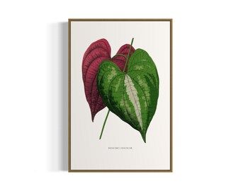 Stampa artistica vintage con foglie variegate botaniche / Arte murale stampabile / Download digitale