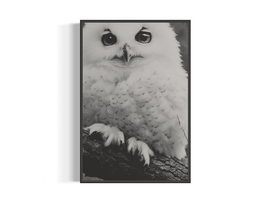 Snowy Owl Portrait Art Print | Printable Black and White Wall Art ...