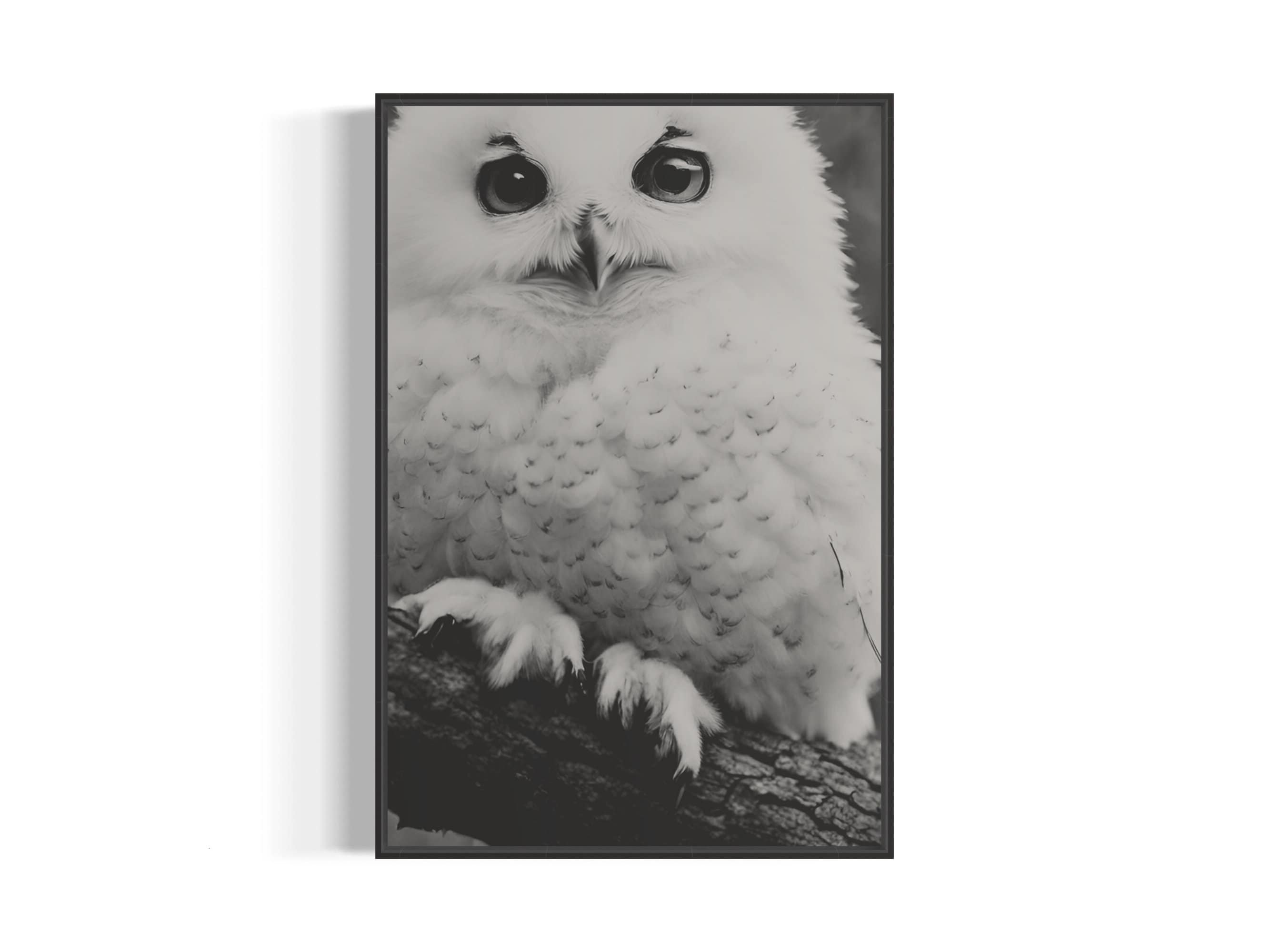 Snowy Owl Portrait Art Print | Printable Black and White Wall Art ...