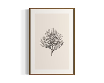 May include: A black and white line drawing of a pine branch with three pine cones. The drawing is on a cream background and framed in a brown frame.