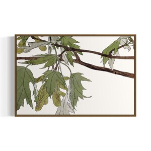 May include: A watercolour painting of a branch with green leaves and seed pods. The leaves are a light green with darker green veins. The seed pods are a light brown colour.