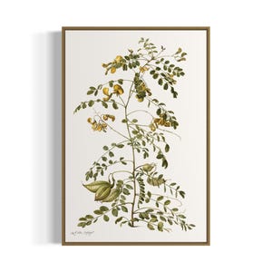 impression d'art aquarelle fleur jaune vintage | Art mural imprimable | Téléchargement numérique