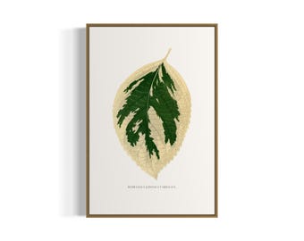 Vintage botanisk hortensiabladkonsttryck | Utskrivbar väggkonst | Digital nedladdning