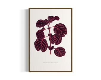 Stampa artistica vintage con foglie variegate botaniche / Arte murale stampabile / Download digitale