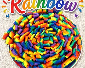 Rainbow Snuffle Mat, Large Size, Non-Slip, Machine Washable, Pet Enrichment Feeder