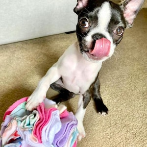 Enrichment Snuffle Ball * 3 Sizes * Treat Dispenser * Keeping Pets Busy * Stress Reliever* Pets of all Sizes and Ages! * Color Customization