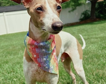 Reversible Rainbow Pet Bandana: Slip-On Collar, Pride Dog and Cat Bandana