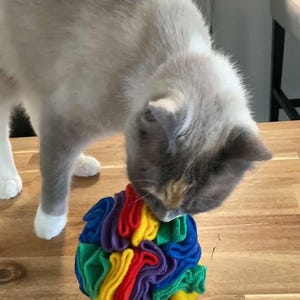 Snuffle Ball * Color Customized/favorite colors! * Cat and Dog Treat Dispenser * Party Favors * Breeder Thank You Gifts * Stress Relief