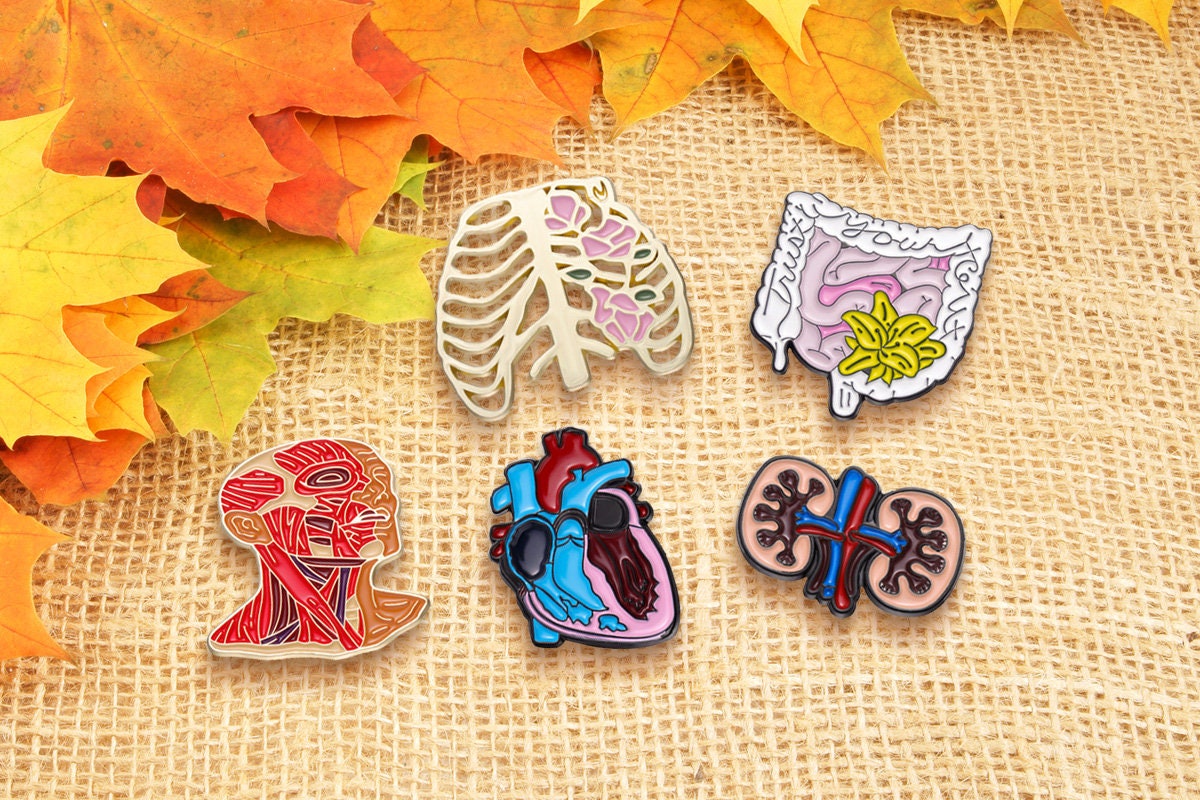 Pinseum, Lapel Pin Display, Enamel Pin Display