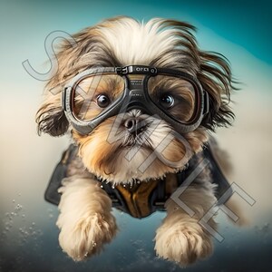 Shih Tzu Fallschirmspringen Shih Tzu druckbare Wand Kunst Design Ressource Digitales Poster Foto Kunstwerk Digital Haustier Kunst