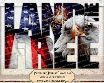 Eagle Flag Distressed Digital Design, Land of the Free Download, Patriotic 4th of July png, USA Bald Eagle Old Glory Photo svg, Cricut Image
