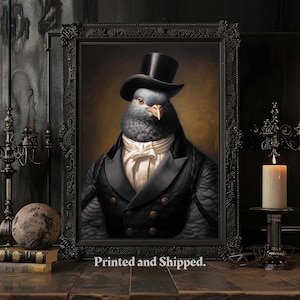Pigeon art print, Renaissance Art, Victorian Dandy Pigeon, Home Decor, Altered animal portrait
