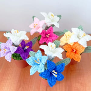 May include: A collection of handmade crochet flowers in various colors, including white, pink, purple, blue, yellow, and orange. Each flower is potted in a small brown pot with green leaves. The flowers are arranged on a wooden surface.