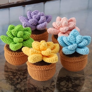 May include: Five crocheted succulent plants in brown pots. The succulents are in different colors: green, purple, pink, yellow, and blue.