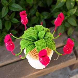 May include: A handcrafted crochet plant with vibrant pink flowers and green leaves. The plant is in a white and tan pot, creating a charming, handmade aesthetic. The flowers have red stems and are arranged around the green leaves.