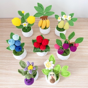 Crochet Fruit Pot Set: Handmade Yarn Plants, Kawaii Mini Decor