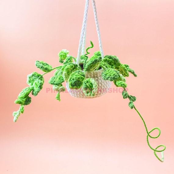 Crochet Hanging Plant: Creeping Charlie & String of Turtles - Car Mirror  Decor - Etsy New Zealand