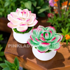 May include: Two crochet succulent plants in white pots. One is light pink with dark pink edges, the other is green with dark pink edges. The text "PINKLADY WORKSHOP" is visible on the wooden surface.
