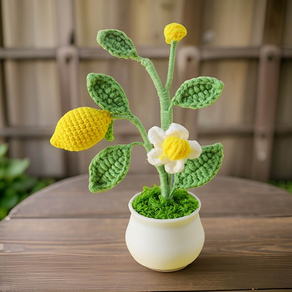 Handmade Crochet Lemon Tree  | Crochet Lemon Decor | Crochet Bonsai | Lemon Decoration | Handmade Gift | Cute Office Decor