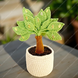 May include: A crocheted money tree in a white pot. The tree has green leaves with dollar sign accents and a brown trunk. The pot is filled with brown soil. The tree is a decorative item.