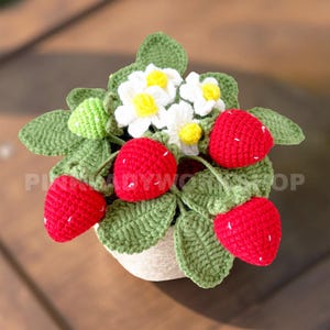 May include: A crocheted strawberry plant with red strawberries, white flowers with yellow centers, and green leaves. The plant is in a woven pot. The craftwork is handmade.