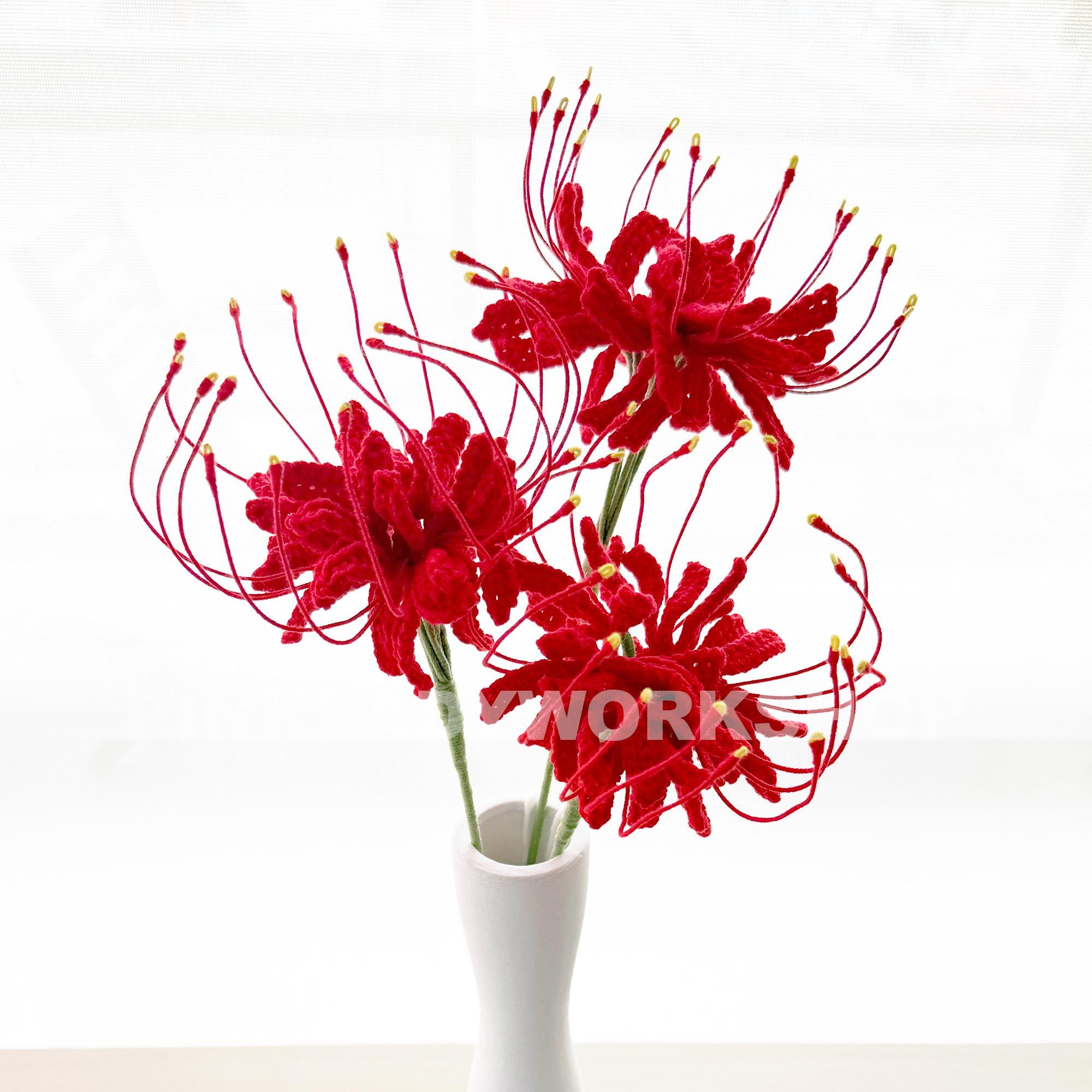 Red spider lily Nederland
