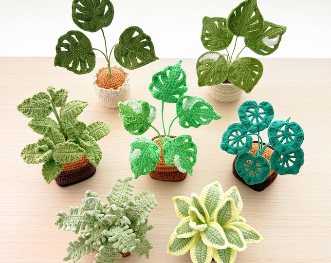 Handmade Crochet Plant: Monstera, Succulent, Fern