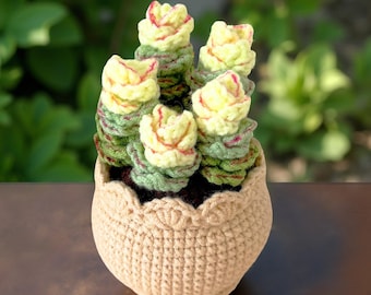 Crochet Echeveria Succulent: Handmade Yarn Faux Plant Decor