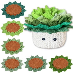 Handmade 6PCS Crochet Coasters | Crochet Succulent | Decorative Coasters | Potted Plant Coasters | Crochet Flowers | House Warning Gift