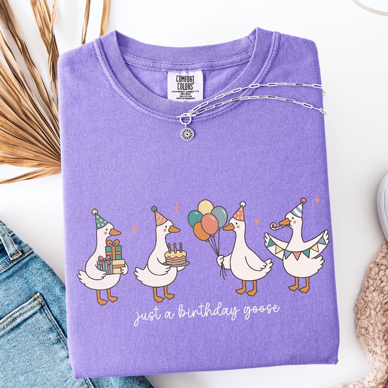 May include: A lilac-colored sweatshirt with a graphic of four cartoon geese wearing party hats and holding gifts, a cake, balloons, and a party horn. The text "just a birthday goose" is below the geese. A silver necklace is draped across the top.