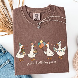 May include: A brown Comfort Colors t-shirt with a graphic of four geese wearing party hats and holding gifts, a cake, and balloons. The text "just a birthday goose" is below the geese. A silver necklace with a sun pendant is on the shirt.