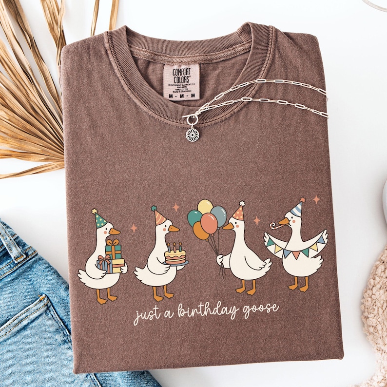 May include: A brown Comfort Colors t-shirt with a graphic of four geese wearing party hats and holding gifts, a cake, and balloons. The text "just a birthday goose" is below the geese. A silver necklace with a sun pendant is on the shirt.