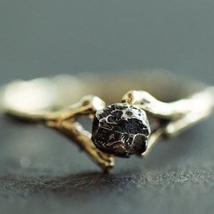 Solid gold ring set with Campo del Cielo meteorite. Branch ring. Nature inspired engagement ring, gentle stacking ring. Space themed jewelry