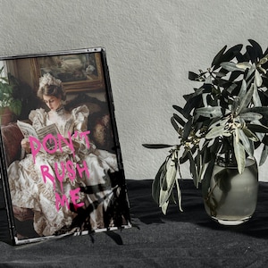 May include: A black framed picture of a woman in a white dress reading a book. The woman is sitting in a chair with a floral pattern. The picture is on a black surface with a vase of green leaves in the background. The text "DON'T RUSH ME" is written in pink on the picture.