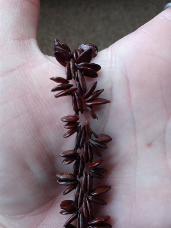 Wooden Seed Neckless Bundle - image 8